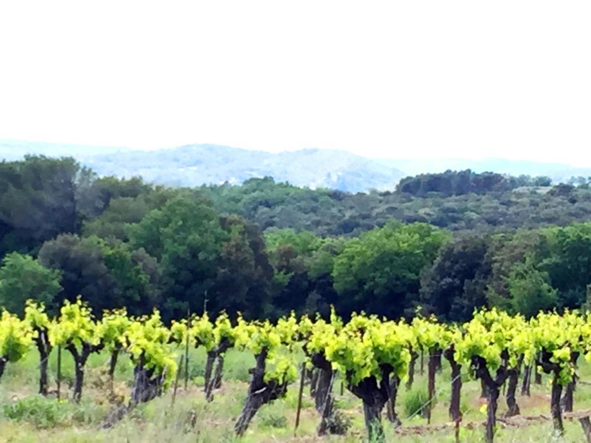 Le Clos Soleilhan Saint-Gervais  Екстер'єр фото